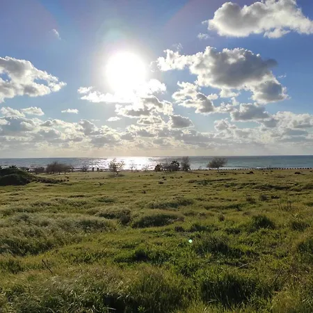 Kiveli's - Kato * Pafos